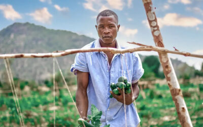 Regenerar la agricultura
