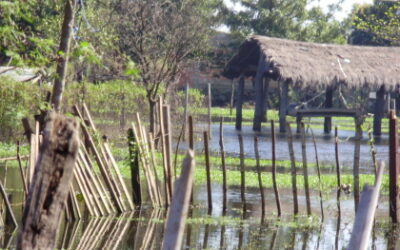 Progetto Guaranì animato dai Focolari in Paraguay