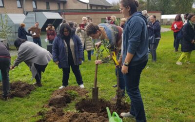 Costruire una eco-comunità globale: spunti da GreenCare in Belgio