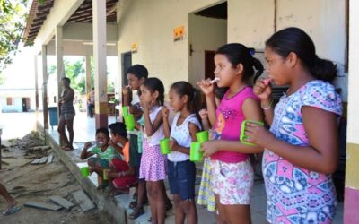 The Amazon Project continues
