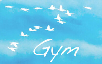 Gym for the Soul