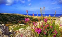Kelma tal-Ħajja – Lulju 2011