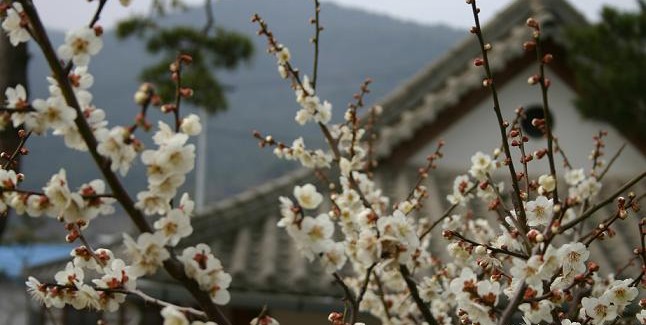 경기도, 마리아 폴리 센터 “ 마리아, 하느님의 어머니”
