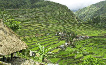 菲律賓：山區的村落