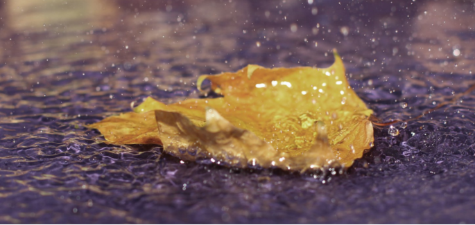 尼日利亞:亞克科(Yakoko)和雨露之恩