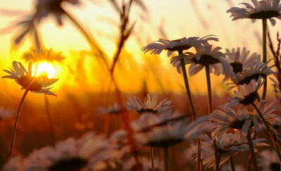 2016 年 5 月份 生活聖言