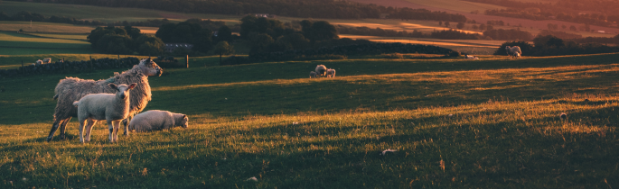 2024年7月 生活聖言