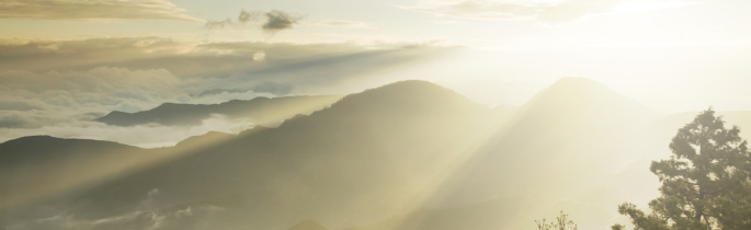 2024年8月 生活聖言